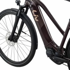 Amiti E+ 2 (RideDash Evo) -Bikes boutique MY21Amiti Eplus2 ColorARosewood 2 GUversion