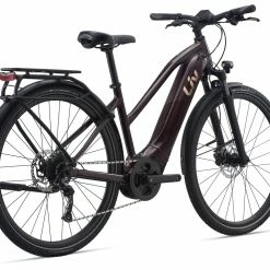 Amiti E+ 2 (RideDash Evo) -Bikes boutique MY21Amiti Eplus2 ColorARosewood back GUversion