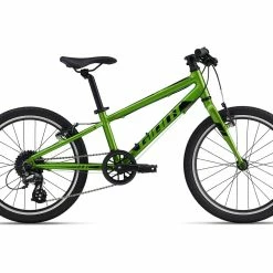 ARX 20 -Bikes boutique MY22ARX20 ColorFMetallicGreen